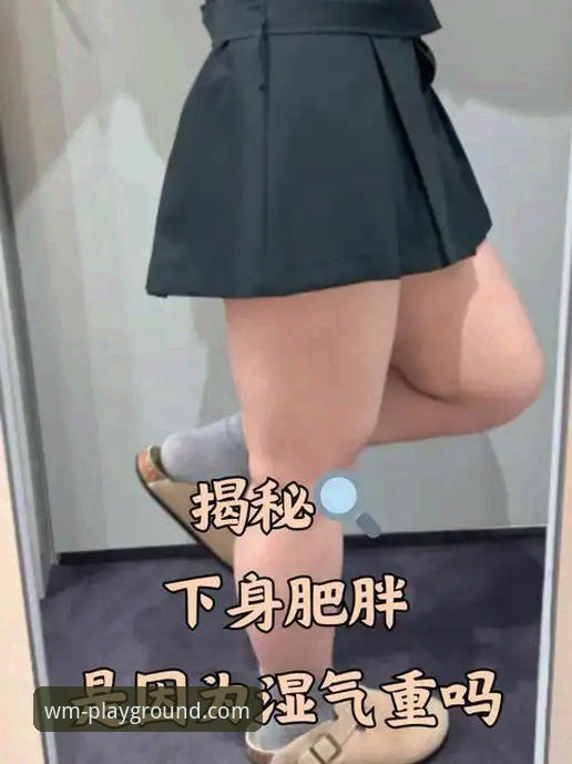 揭秘完美体育使用体验最新版：功能、性能与用户反馈背后的真相